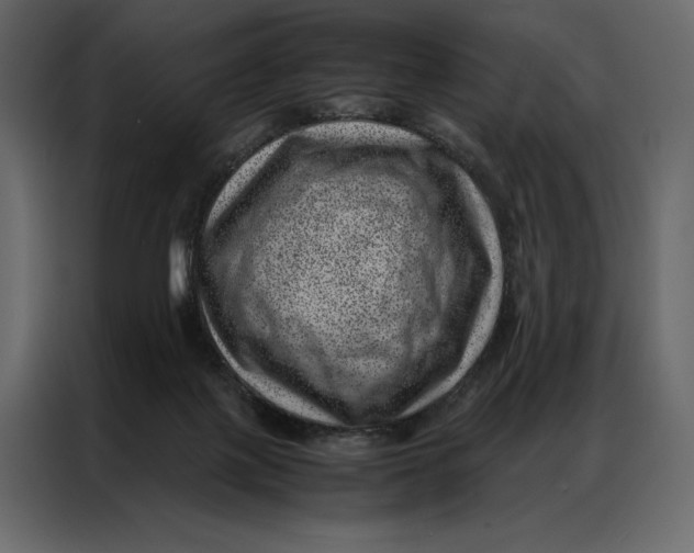 X0000086970075200705071405