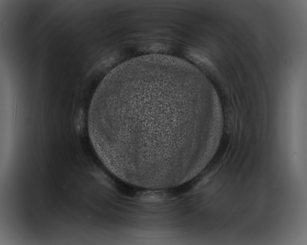 X0000086970077200705071405