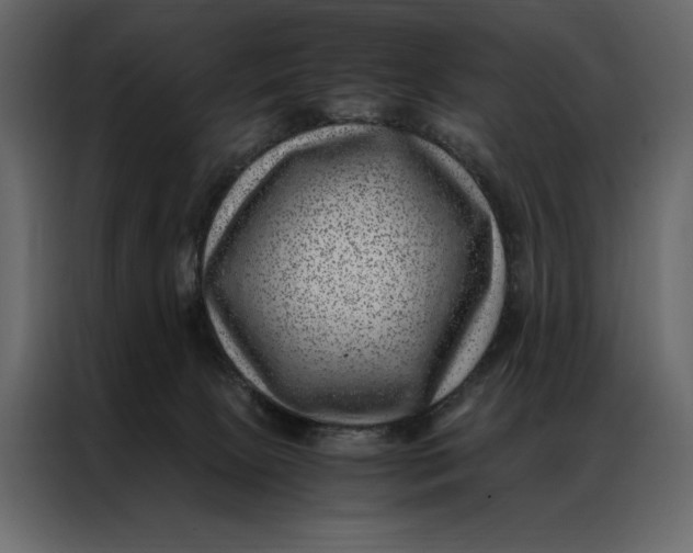 X0000086970081200705071405