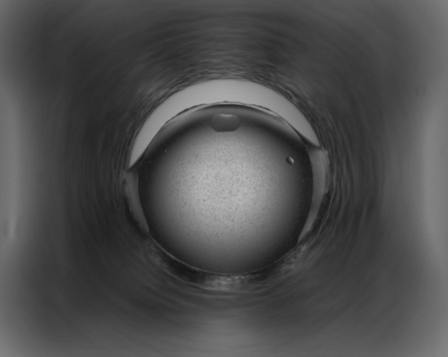 X0000086970084200705071405