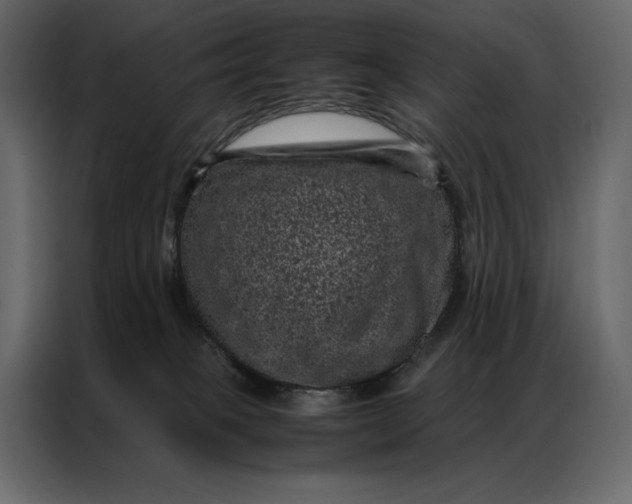 X0000086970085200705071405