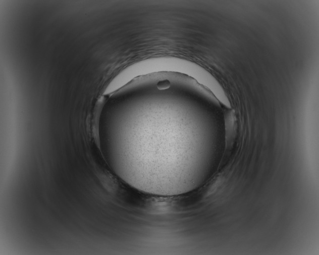 X0000086970088200705071405