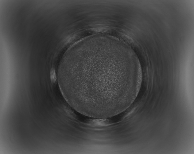 X0000086970089200705071405