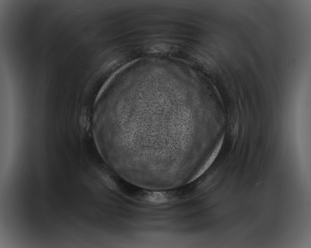 X0000086970091200705071405