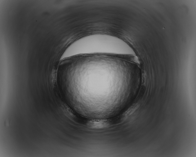 X0000086970093200705071405