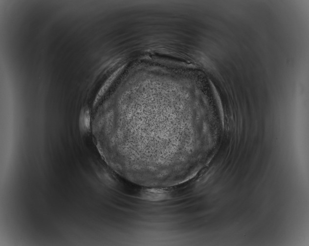 X0000086970095200705071405