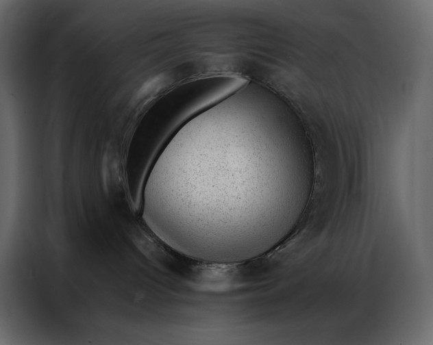 X0000086970096200705071405