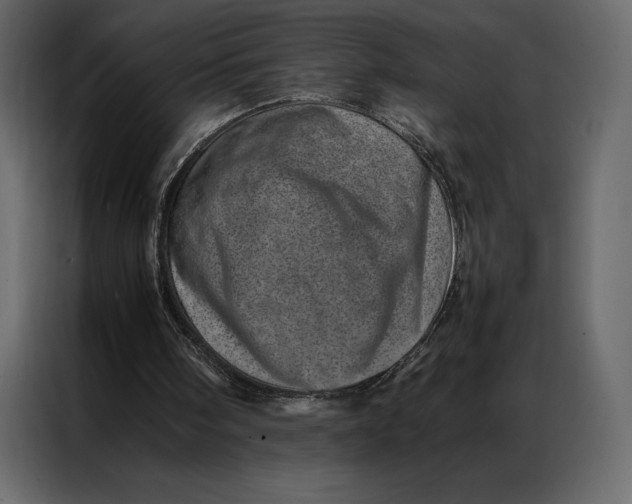 X0000086970098200705071405