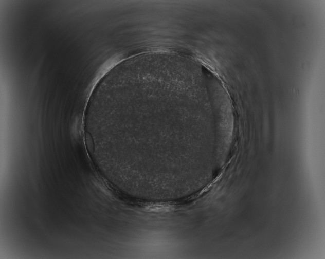 X0000086970099200705071405