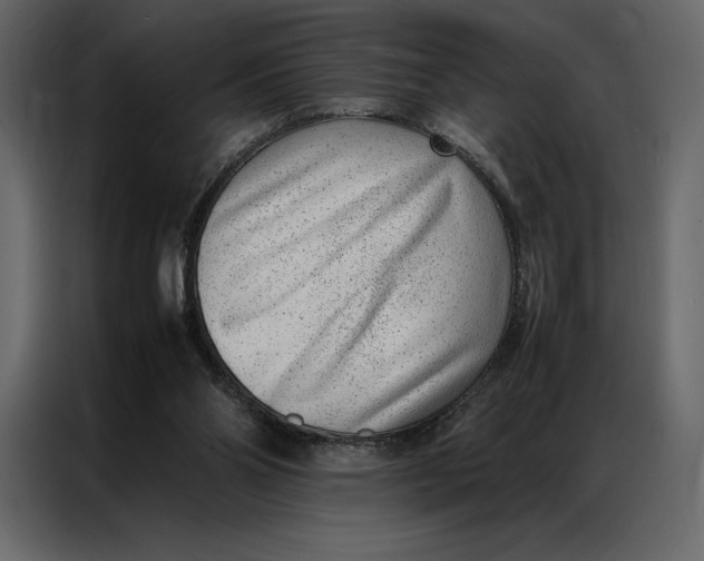 X0000086970110200705071404