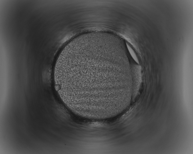 X0000086970111200705071404