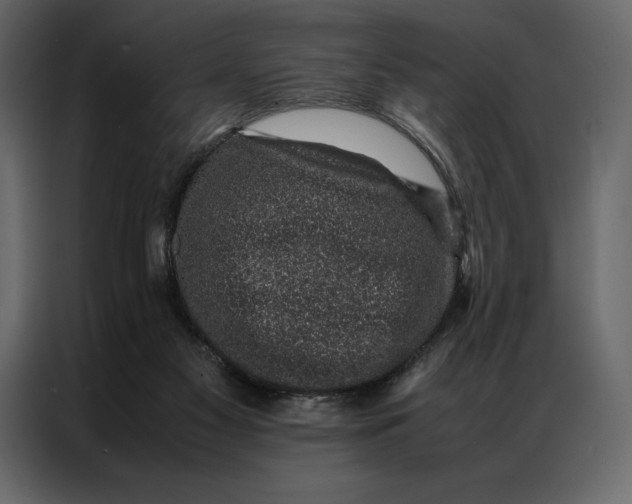 X0000086970117200705071404