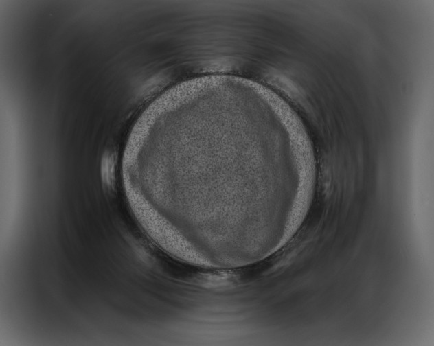 X0000086970118200705071404