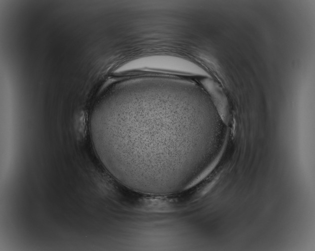 X0000086970121200705071404