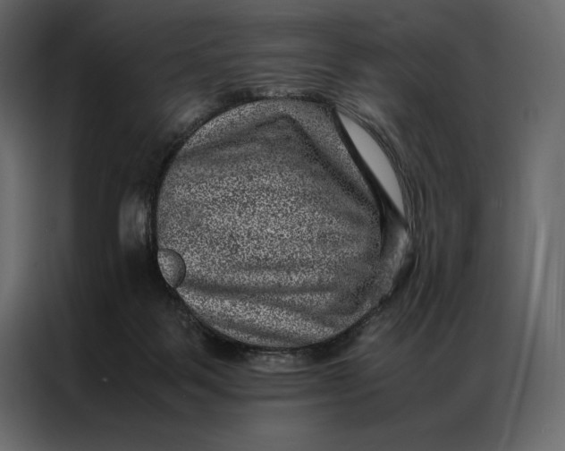 X0000086970123200705071404