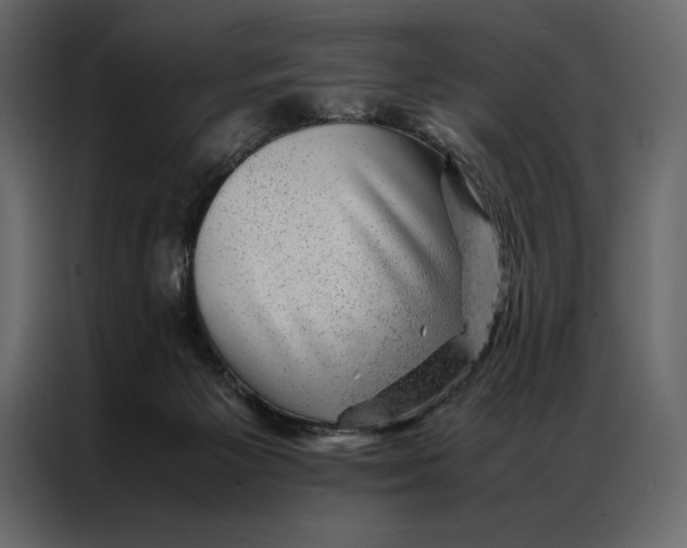 X0000086970125200705071404