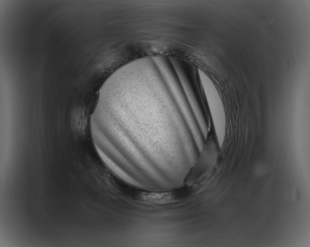 X0000086970129200705071404