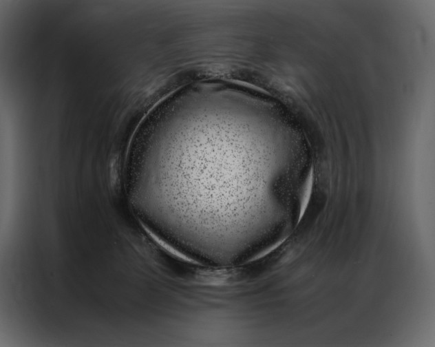 X0000086970131200705071404