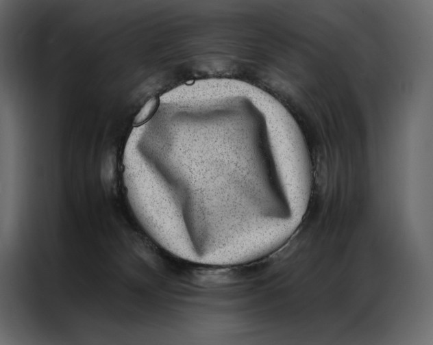 X0000086970132200705071404