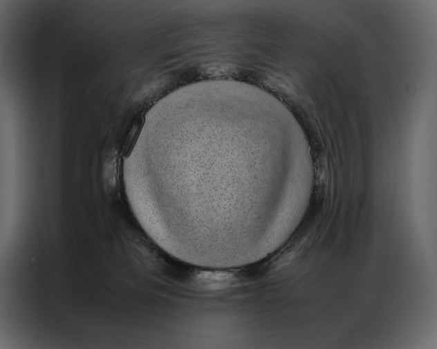 X0000086970133200705071404