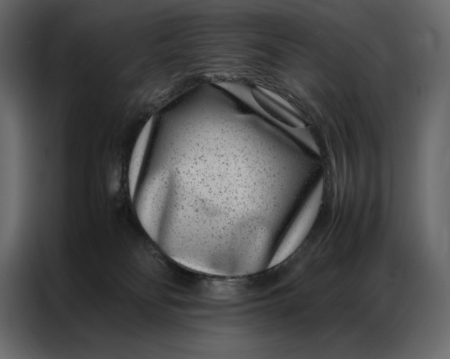 X0000086970134200705071404