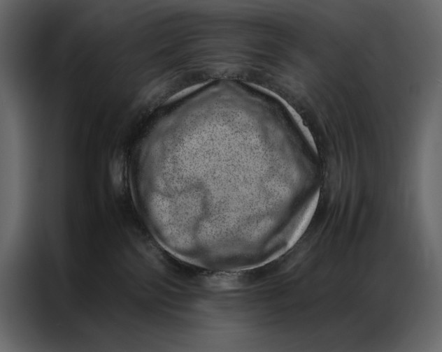 X0000086970138200705071404