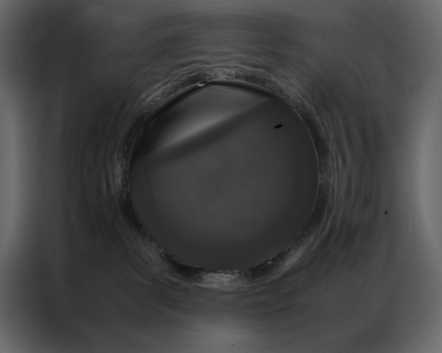 X0000086970139200705071404