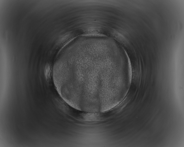 X0000086970142200705071404