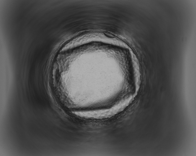 X0000086970145200705071403