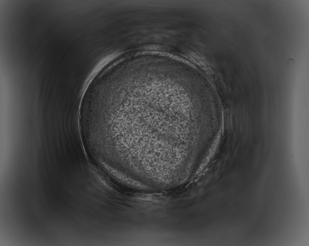 X0000086970147200705071403