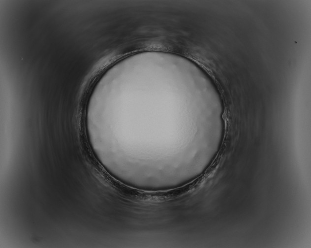 X0000086970149200705071403