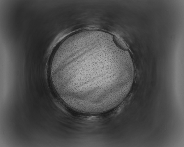 X0000086970151200705071404