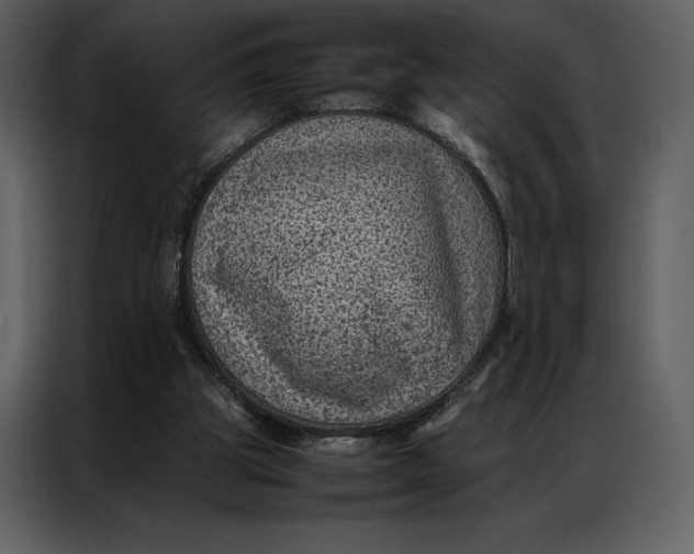 X0000086970153200705071404