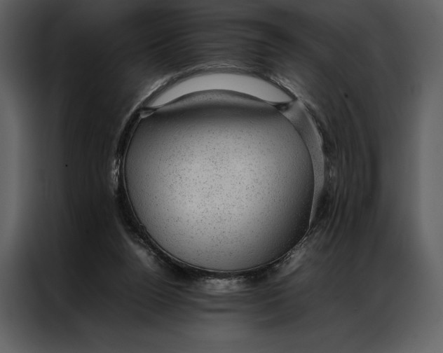 X0000086970160200705071404