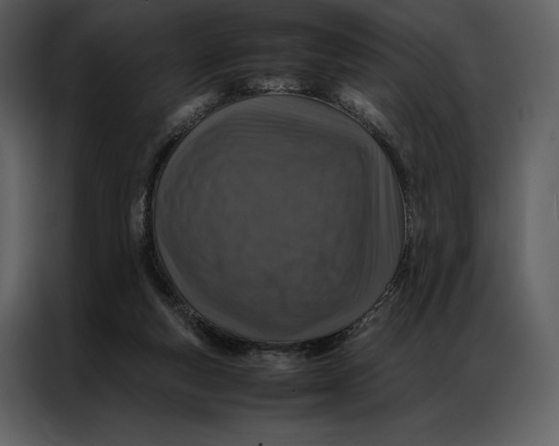 X0000086970163200705071404