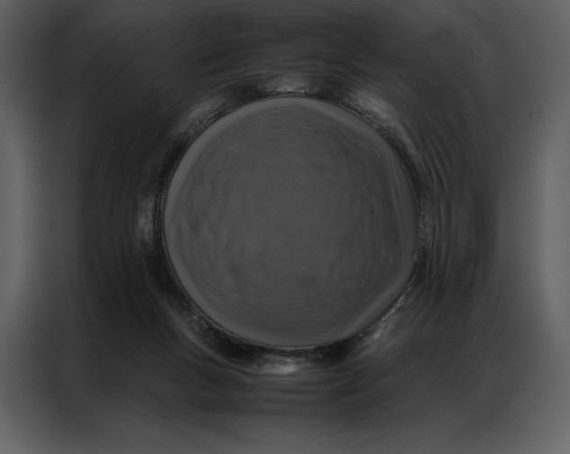 X0000086970167200705071404