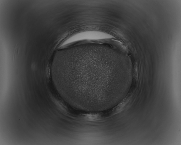 X0000086970168200705071404