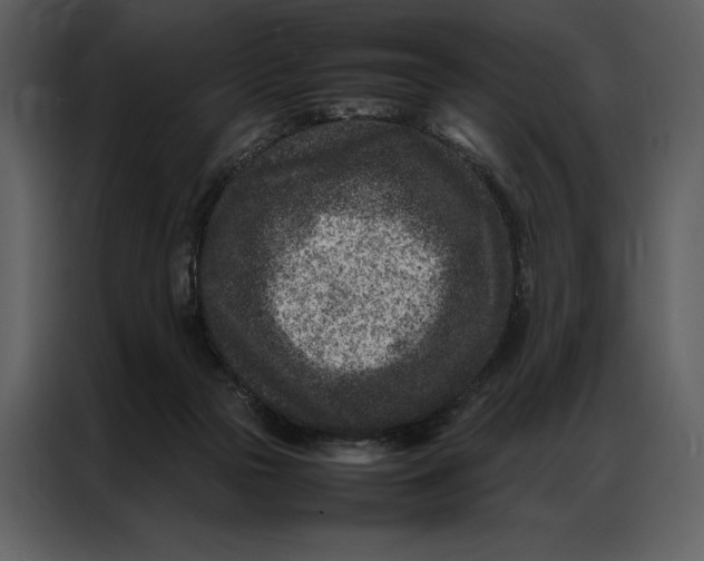 X0000086970169200705071404