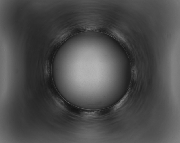 X0000086970170200705071404