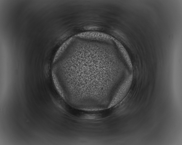 X0000086970171200705071404