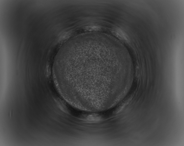 X0000086970173200705071404