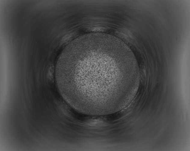 X0000086970175200705071404