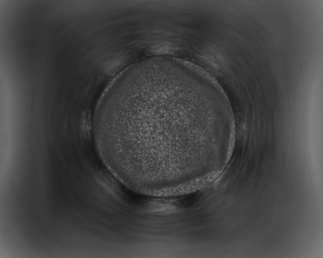 X0000086970179200705071404