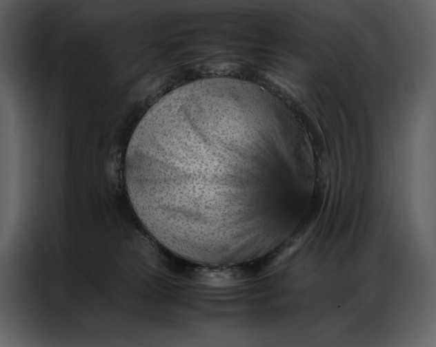 X0000086970181200705071404