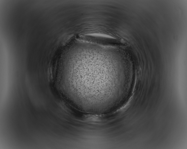 X0000086970182200705071404