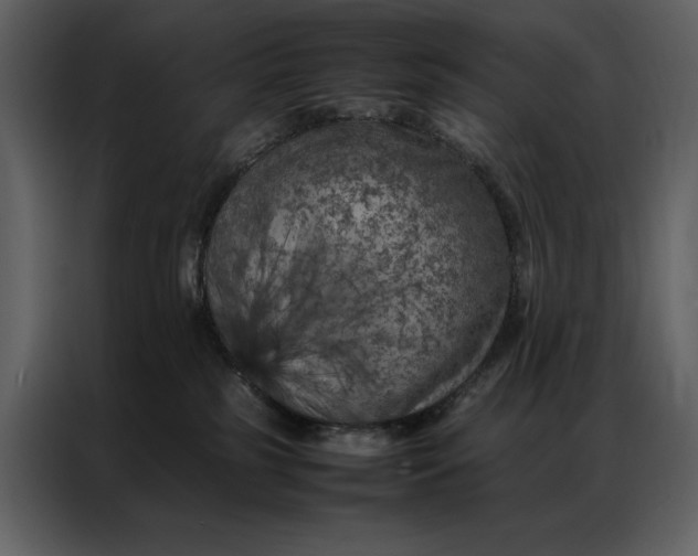 X0000086970185200705071404