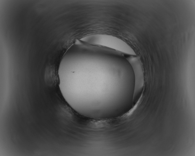 X0000086970186200705071404