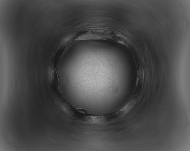 X0000086970188200705071404