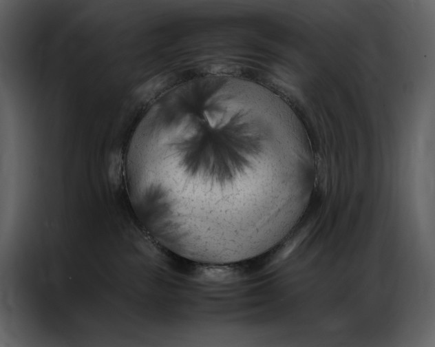 X0000086970189200705071404