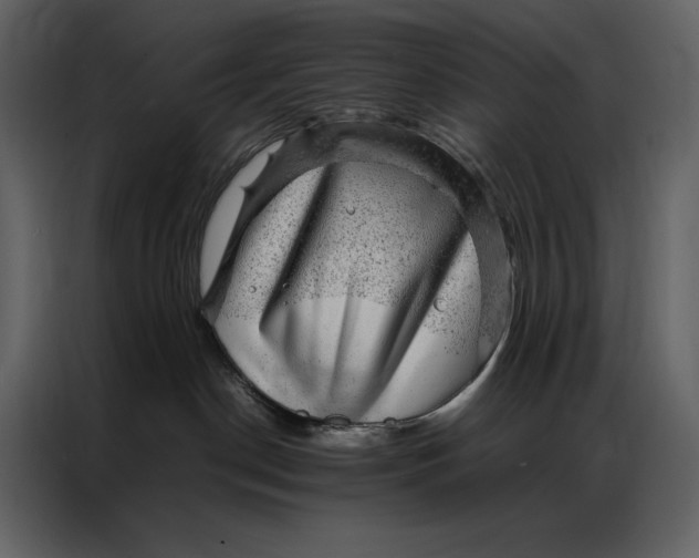 X0000086970190200705071404